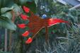 oo_windbird_wind-chime_red